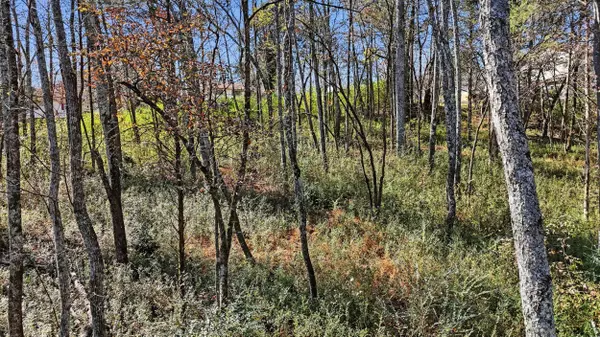 0 Sierra DR, Dayton, TN 37321