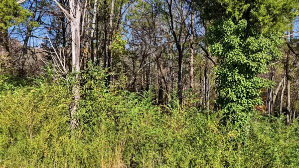 0 Sierra DR, Dayton, TN 37321