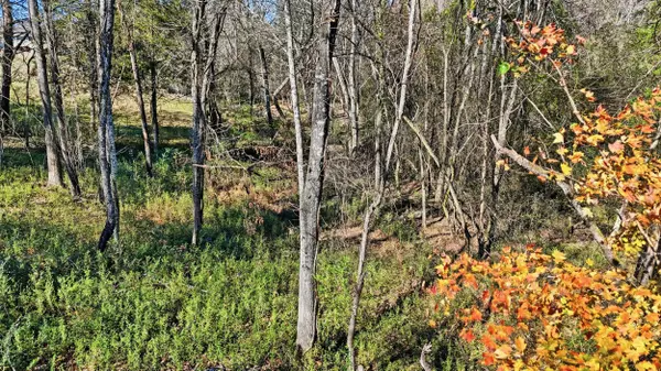 0 Sierra DR, Dayton, TN 37321