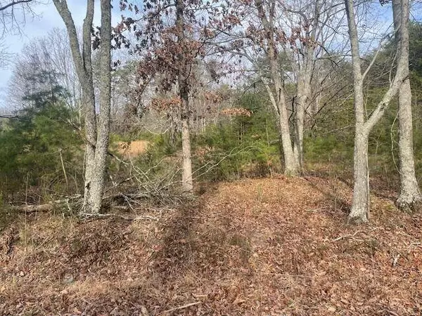 2484 Durham RD, Rising Fawn, GA 30738