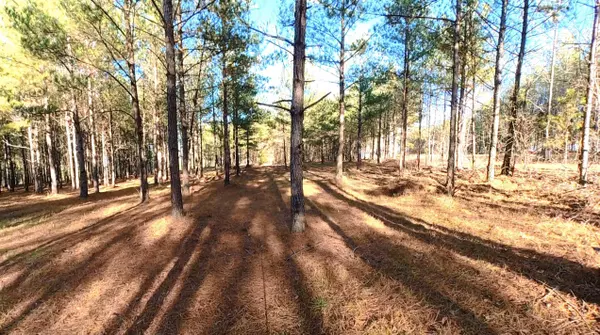 0 Three Gorges RD, Soddy Daisy, TN 37379