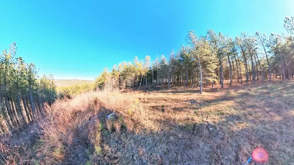 0 Three Gorges RD, Soddy Daisy, TN 37379