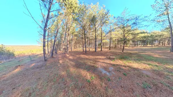 0 Three Gorges RD, Soddy Daisy, TN 37379