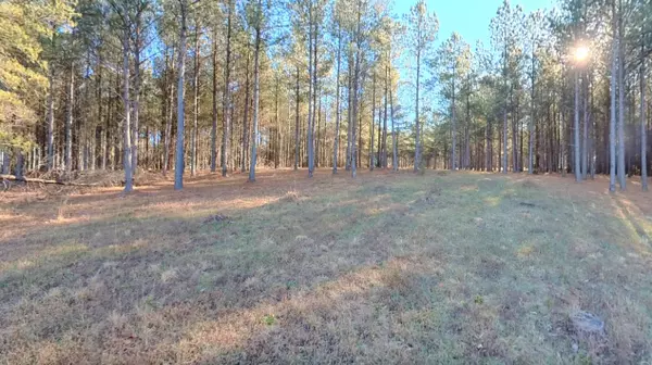 0 Three Gorges RD, Soddy Daisy, TN 37379