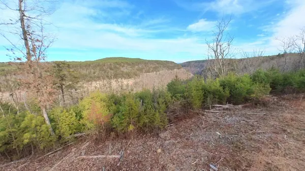 0 Big Soddy DR, Soddy Daisy, TN 37379