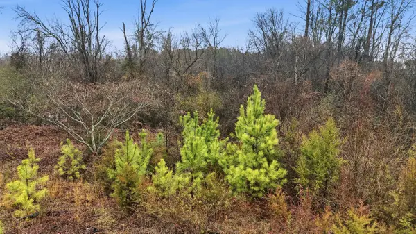 7521 Shallowford RD, Chattanooga, TN 37421