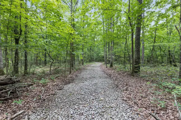 916 Rim DR, Coalmont, TN 37313