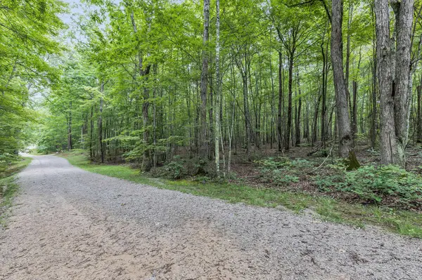 916 Rim DR, Coalmont, TN 37313