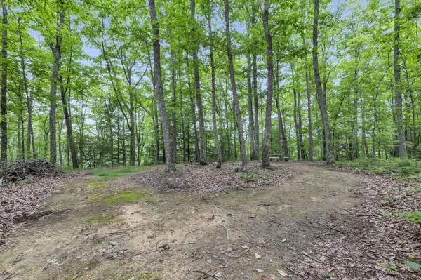 916 Rim DR, Coalmont, TN 37313