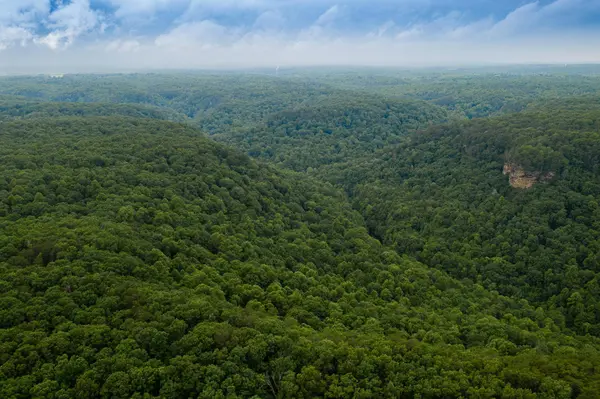 916 Rim DR, Coalmont, TN 37313