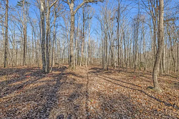 916 Rim DR, Coalmont, TN 37313
