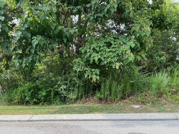 2118+2112 Short Leaf LN, Soddy Daisy, TN 37379