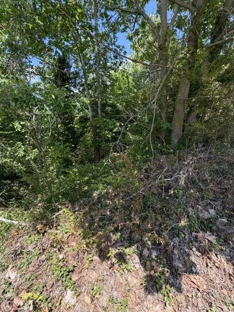 2136+2124 Short Leaf LN, Soddy Daisy, TN 37379