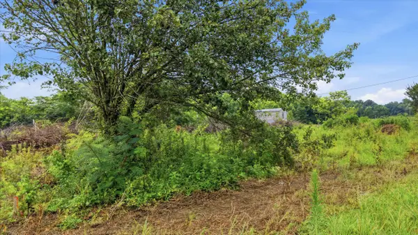 319 County Road 315, Bryant, AL 35958