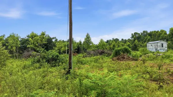 325 County Road 315, Bryant, AL 35958