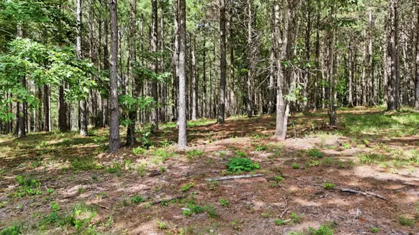 0 Worley RD, Soddy Daisy, TN 37379