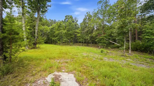 0 Worley RD, Soddy Daisy, TN 37379