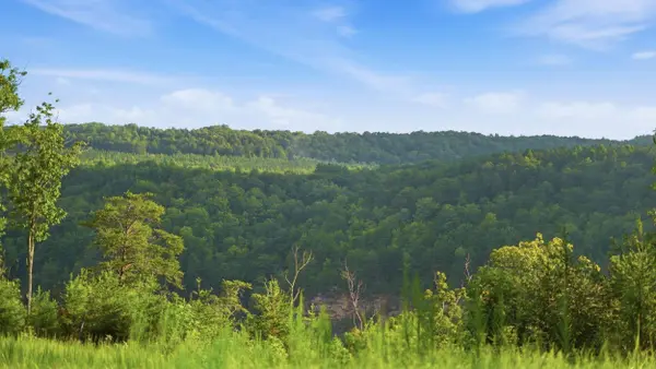 0 Worley RD, Soddy Daisy, TN 37379