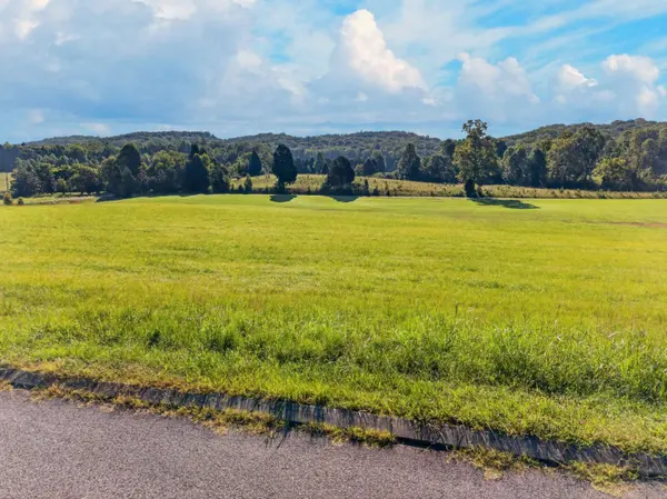 0 Spring Harbor DR, Spring City, TN 37381