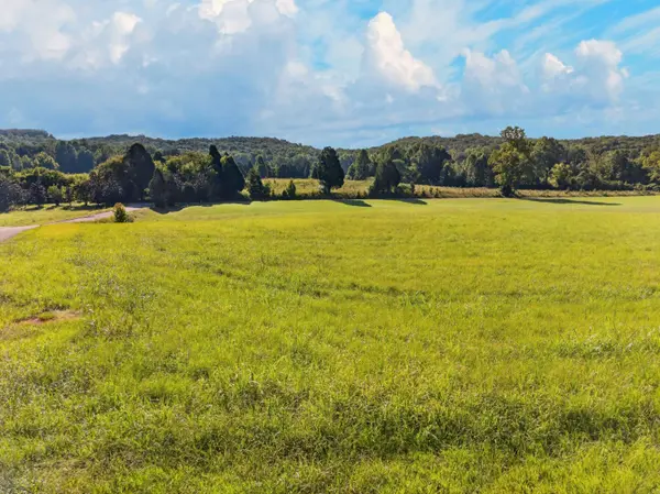 175 Spring Cove LN, Spring City, TN 37381