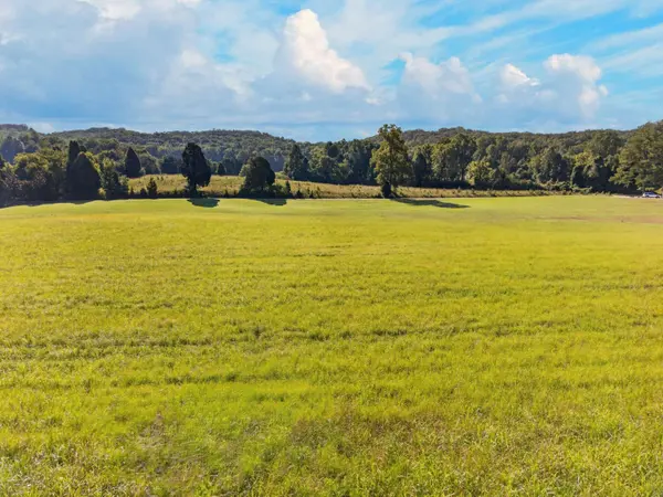 0 Spring Harbor DR, Spring City, TN 37381