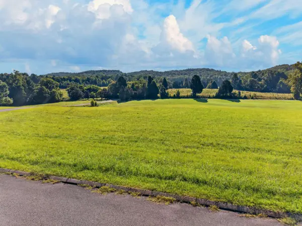 175 Spring Cove LN, Spring City, TN 37381