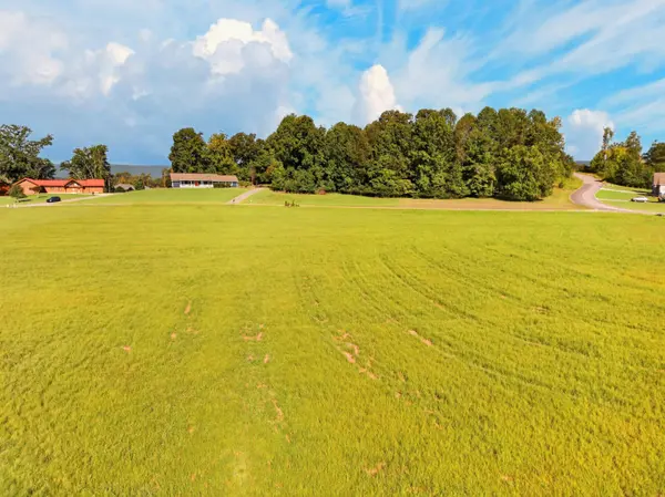 0 Spring Harbor DR, Spring City, TN 37381