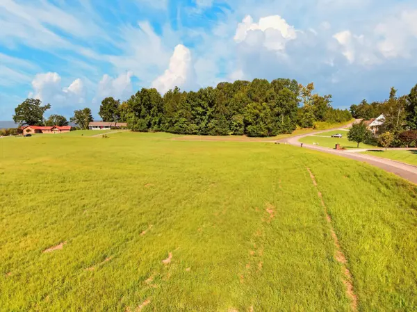 175 Spring Cove LN, Spring City, TN 37381