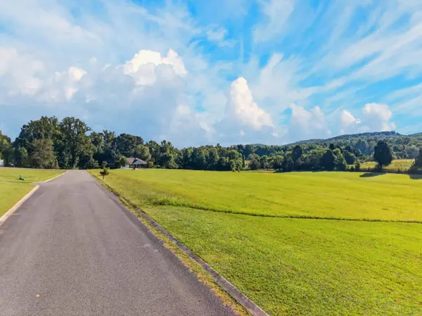 0 Spring Harbor DR, Spring City, TN 37381