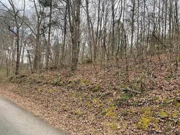 00 Wooten LN, Chickamauga, GA 30707