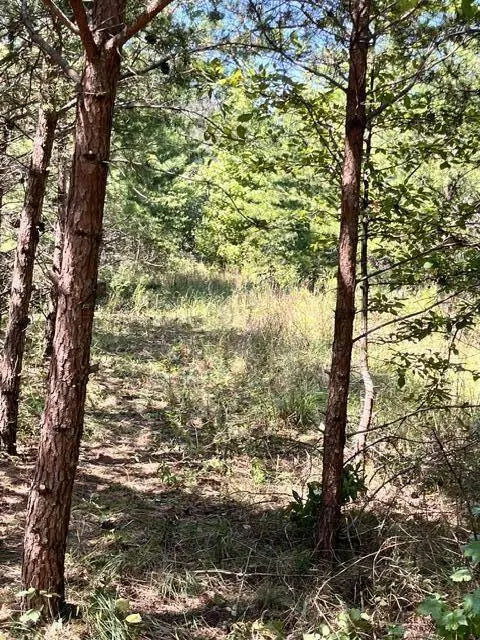 152 County Road 971