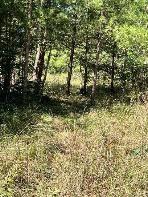 152 County Road 971, Flat Rock, AL 35966