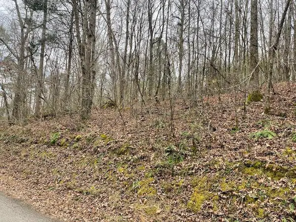 00 Wooten LN, Chickamauga, GA 30707