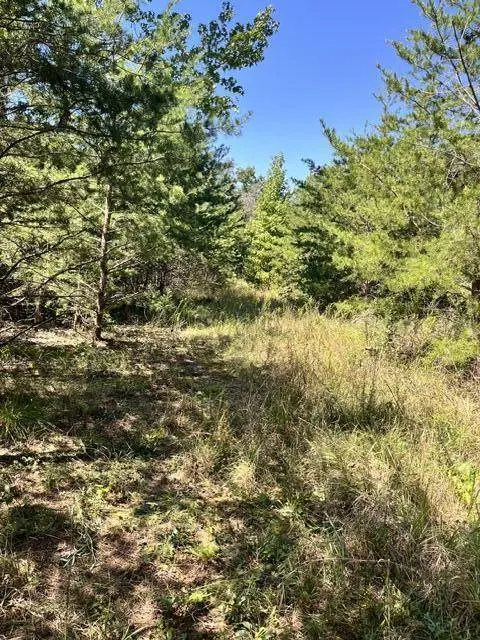152 County Road 971, Flat Rock, AL 35966