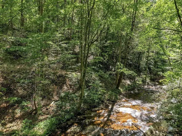 0 Dell Moore RD, Marble Hill, GA 30148
