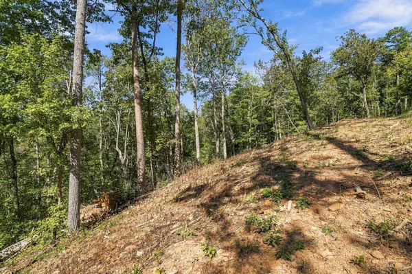 0 Dell Moore RD, Marble Hill, GA 30148