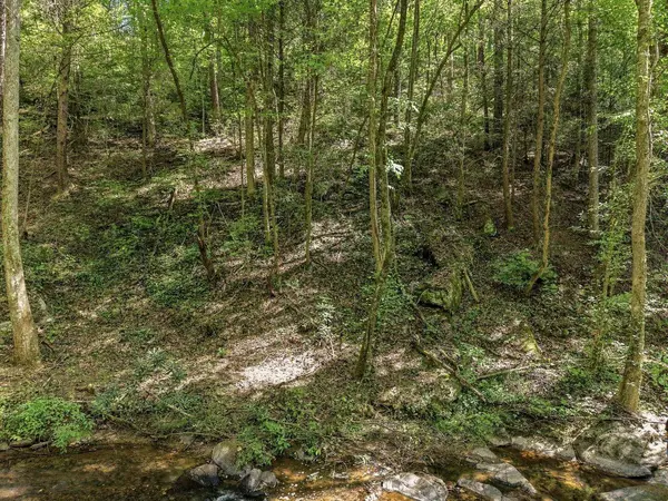 0 Dell Moore RD, Marble Hill, GA 30148