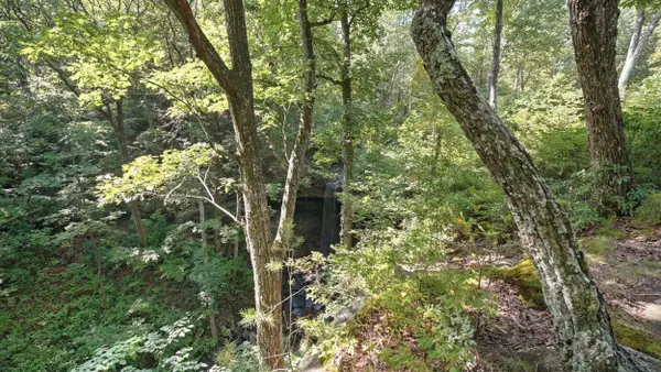 0 Timber View RD, Pikeville, TN 37367