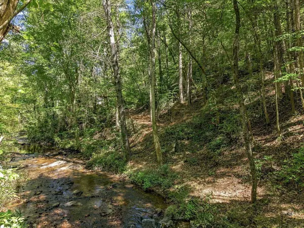 0 Dell Moore RD, Marble Hill, GA 30148