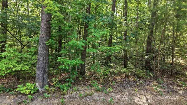 0 Timber View RD, Pikeville, TN 37367