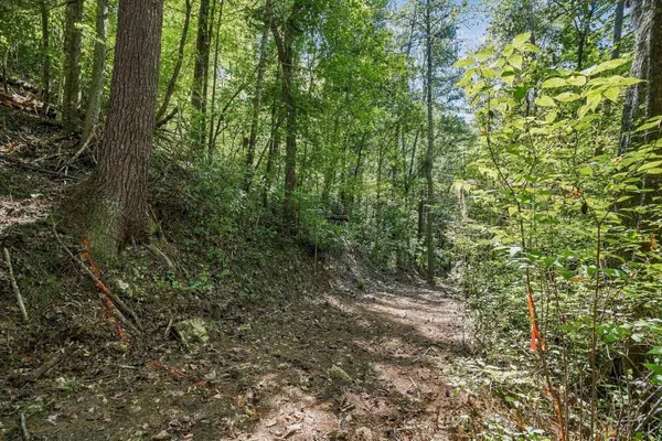 0 Dell Moore RD, Marble Hill, GA 30148
