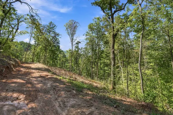 0 Dell Moore RD, Marble Hill, GA 30148