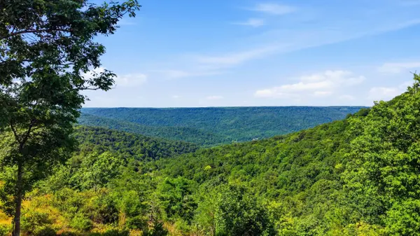 622 Coyote TRL, Spencer, TN 38585
