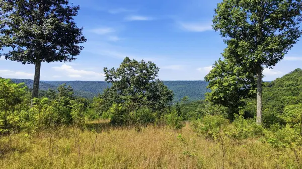 623 Coyote TRL, Spencer, TN 38585