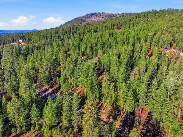 4104 Ali Vista WAY, Loon Lake, WA 99148