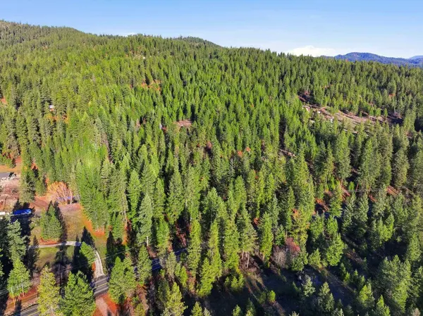 4104 Ali Vista WAY, Loon Lake, WA 99148