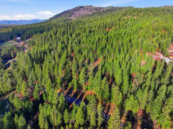 4104 Ali Vista WAY, Loon Lake, WA 99148