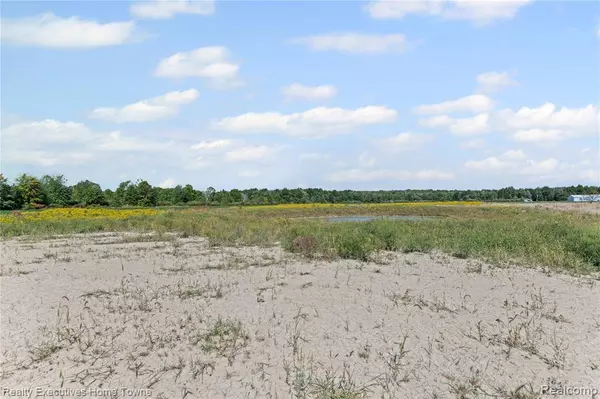 7082 SPRINGBORN Road, China Twp, MI 48054