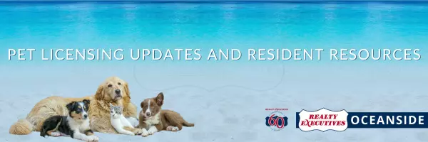 Palm Coast Pet Licensing Updates and Resident Resources