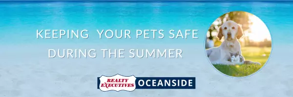 Keeping Your Pets Safe During The Summer Months,Realty Executives Oceanside